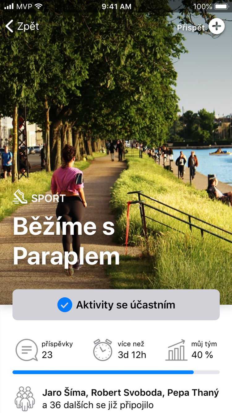 Firma jako tým app detail aktivity