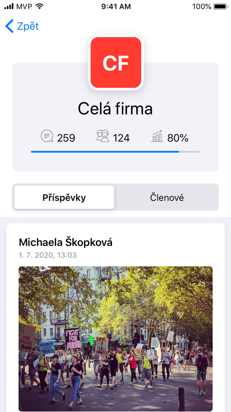 Firma jako tým app profil týmu